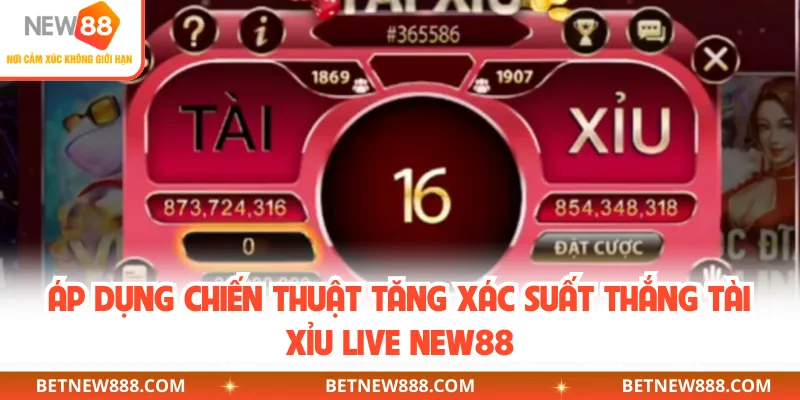 Áp dụng chiến thuật tăng xác suất thắng tài xỉu live NEW88